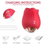 rose sucking toys USB