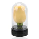 rose toy oragne