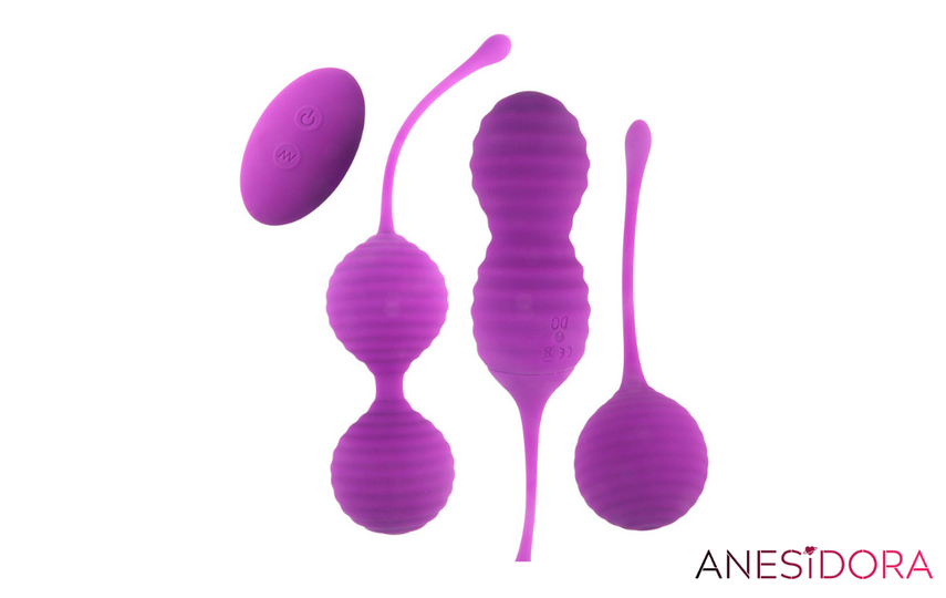 Anesidora Kegel Ball For Women