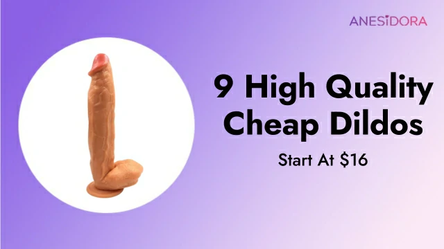 9 High Quality Cheap Dildos Start At $16