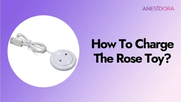 How To Charge The Rose Toy