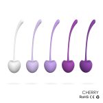 Kegel Ball - Advanced Vaginal Dumbbell Kegel Trainer Vaginal Ball