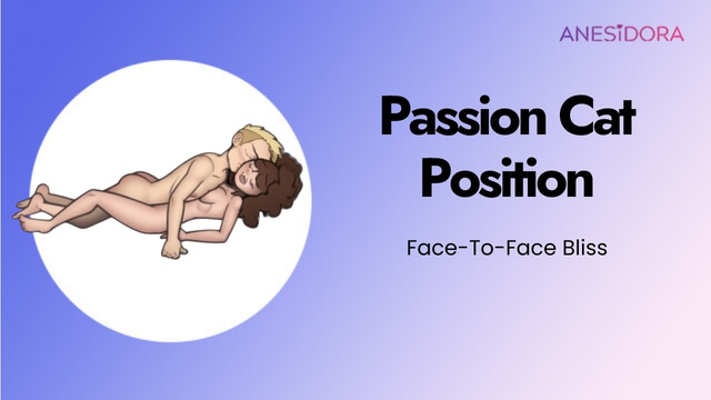 Passion Cat Position：Face-To-Face Bliss