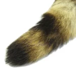 Raccoon Tail Butt Plug Stainless Steel Pet Play Anal trainers