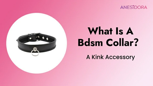 What Is A Bdsm Collar – A Kink Accessory