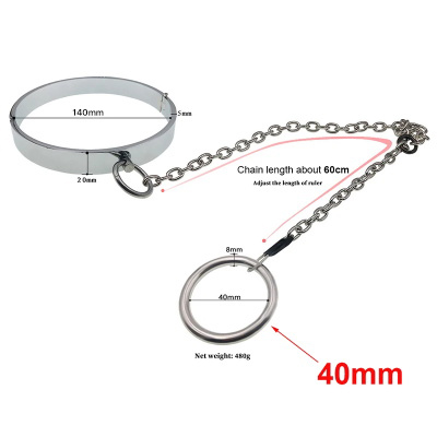 Wretch - Metal Bdsm Collar With Cock Ring