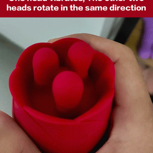 rose-flower-sex-toy-02.gif