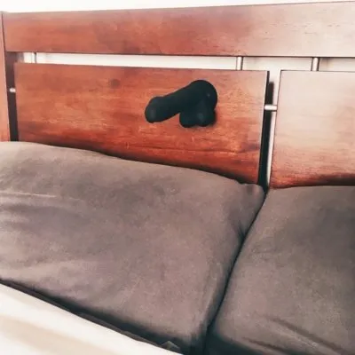 dildo on head board