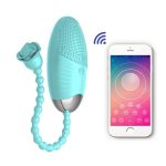 Phone Remote Control Rose Clitoral Vibrator