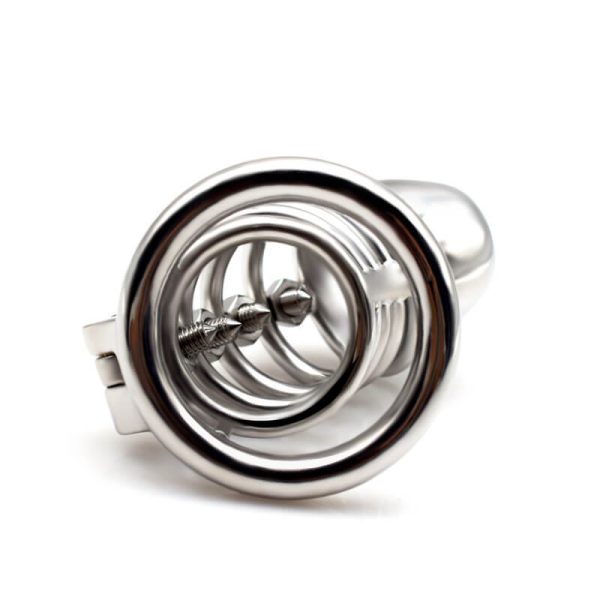 Anesidora Metal Chastity Cage