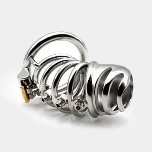 Anesidora Metal Chastity Cage