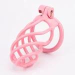 Anesidora Pink Chastity Cage