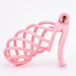 Anesidora Pink Chastity Cage