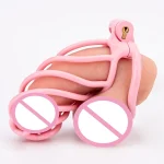 Anesidora Pink Chastity Cage