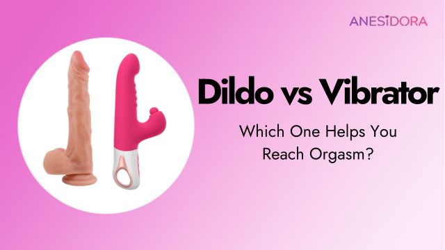 Dildo vs Vibrator 