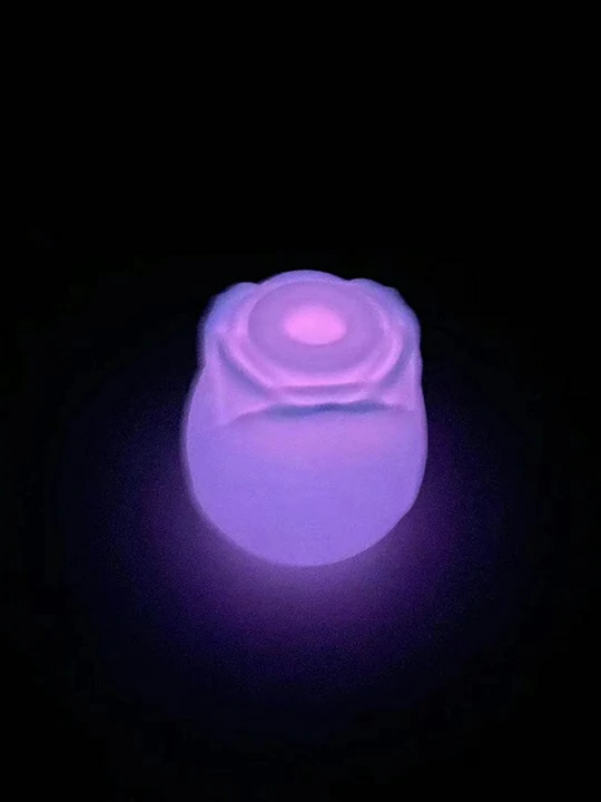 Glow in the Dark Rose Toy