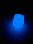 Glow in the Dark Rose Toy