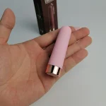 Mini Vibrator Rechargeable 10 Speeds