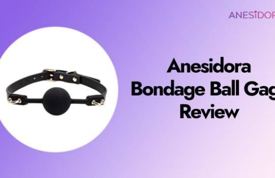 Bondage Ball Gags Review