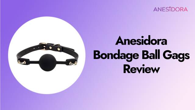 Bondage Ball Gags Review