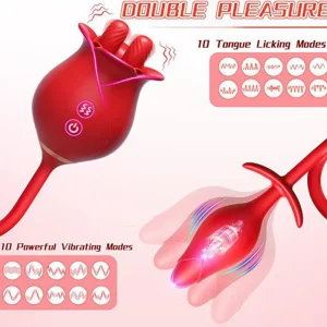 Rose Toy with Butt Plug Dual Stimulation