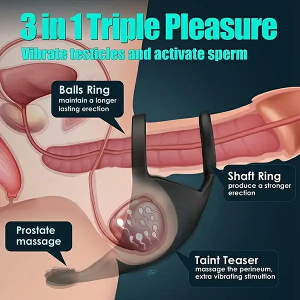 Vibrating Testicle Ring App Control