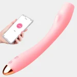 Vibrator With Camera App Control