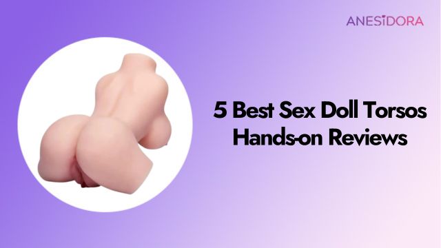 5 Best Sex Doll Torsos Hands-on Reviews