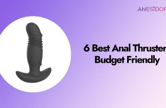 6 Best Anal Thrusters