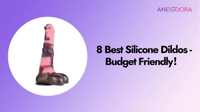 8 Best Silicone Dildos - Budget Friendly！