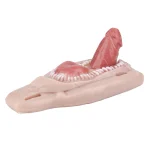 Wearable Silicone Dildo Grinding Pad