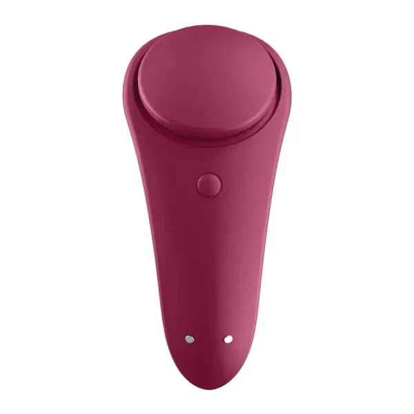 Satisfyer Sexy Secret Panty