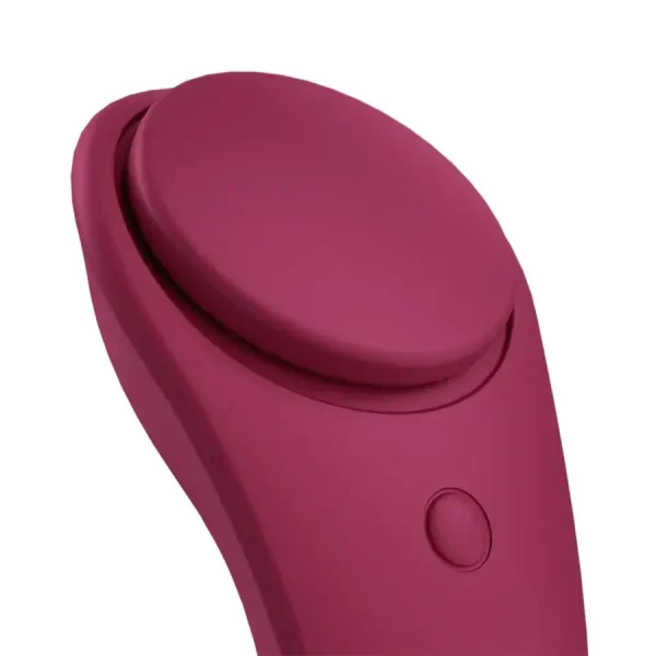 Satisfyer Sexy Secret Panty