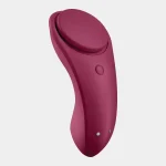 Satisfyer Sexy Secret Panty