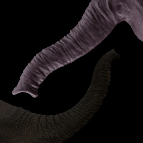 Elephant Dildo Anal Monster Design