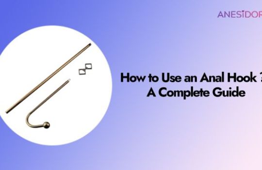 How to Use an Anal Hook ？a Complete Guide