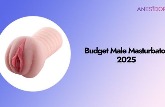 Budget-Male-Masturbator-2025.