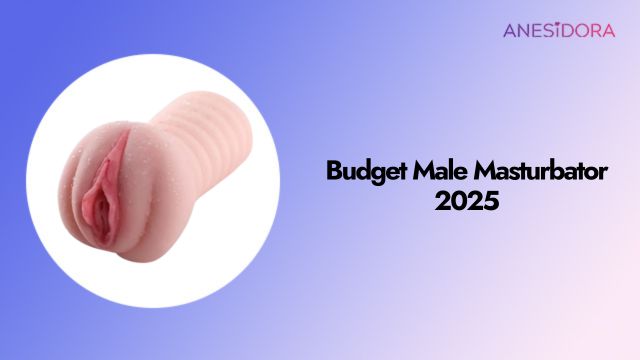 Budget-Male-Masturbator-2025.