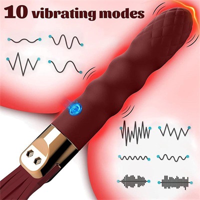 Vibrating Flogger​ With Dildo Handle Whip Toy