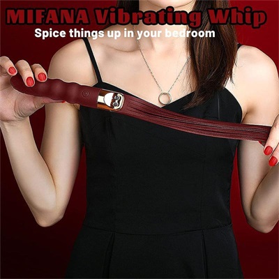 Vibrating Flogger​ With Dildo Handle Whip Toy