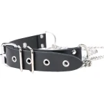 Anesidora BDSM Collar with Nipple Clips