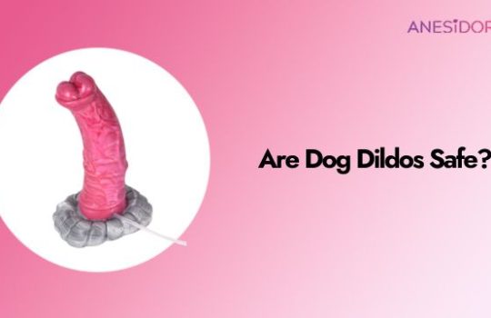 Are-Dog-Dildos-Safe-