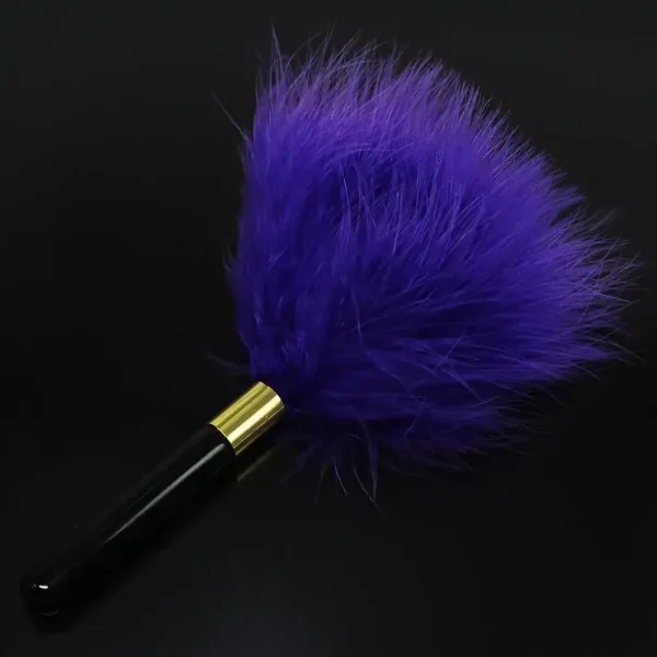 Bdsm Ticklers with Flirting Feathers