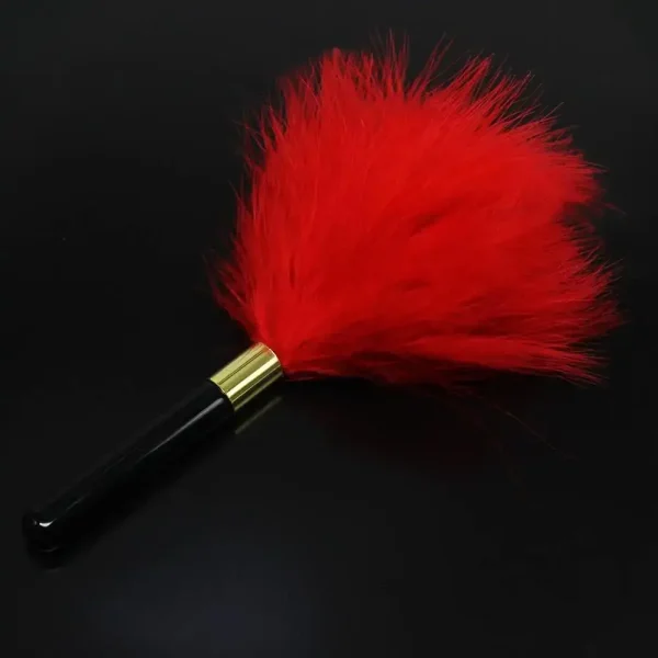 Bdsm Ticklers with Flirting Feathers