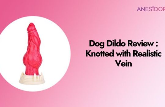 Dog Dildo Review Knotted with Realistic Vein