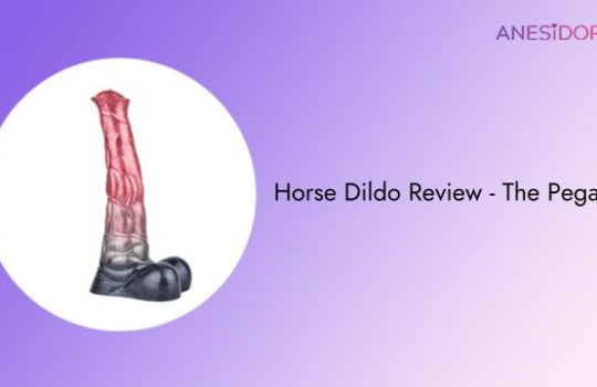 Horse Dildo Review - The Pegasus