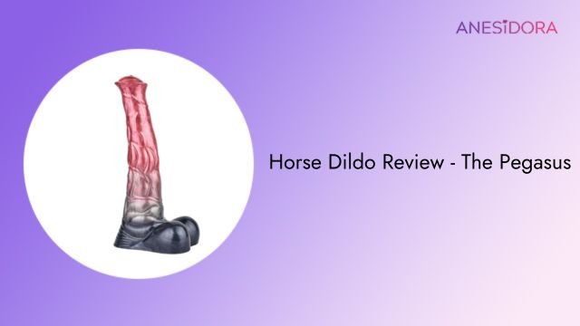 Horse Dildo Review - The Pegasus