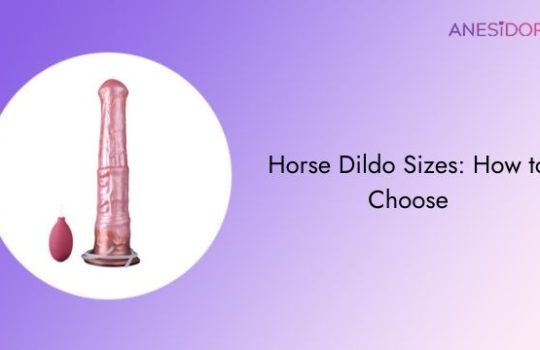 Horse-Dildo-Sizes