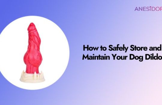 How to Safely Store and Maintain Your Dog Dildo