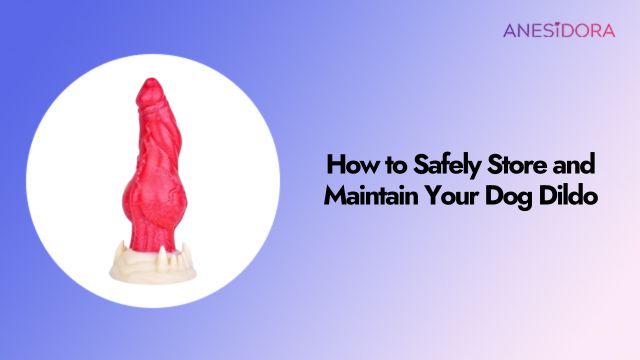 How to Safely Store and Maintain Your Dog Dildo